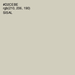 #D2CEBE - Sisal Color Image
