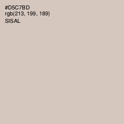 #D5C7BD - Sisal Color Image