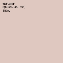 #DFC8BF - Sisal Color Image