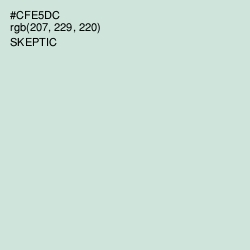 #CFE5DC - Skeptic Color Image