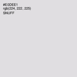 #E0DEE1 - Snuff Color Image