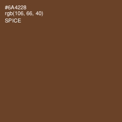 #6A4228 - Spice Color Image