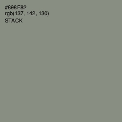#898E82 - Stack Color Image
