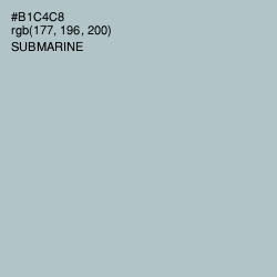 #B1C4C8 - Submarine Color Image
