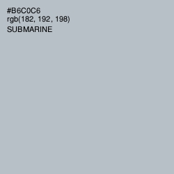 #B6C0C6 - Submarine Color Image