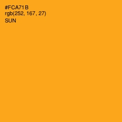 #FCA71B - Sun Color Image
