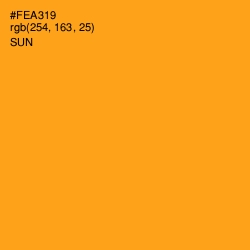#FEA319 - Sun Color Image