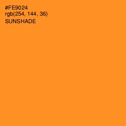 #FE9024 - Sunshade Color Image