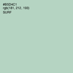 #B5D4C1 - Surf Color Image