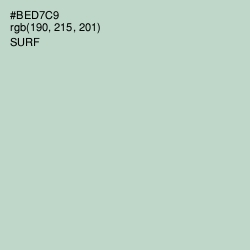 #BED7C9 - Surf Color Image
