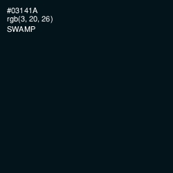 #03141A - Swamp Color Image