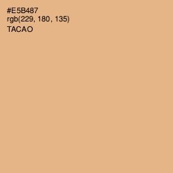 #E5B487 - Tacao Color Image