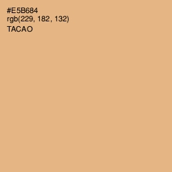 #E5B684 - Tacao Color Image
