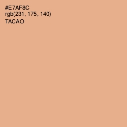 #E7AF8C - Tacao Color Image