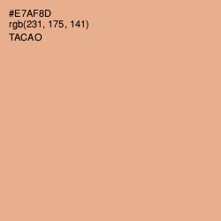 #E7AF8D - Tacao Color Image