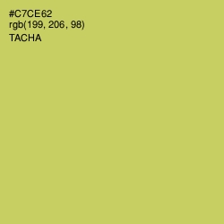 #C7CE62 - Tacha Color Image