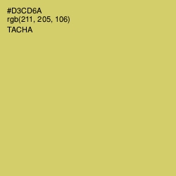 #D3CD6A - Tacha Color Image