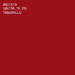 #9C101A - Tamarillo Color Image