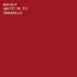 #9D181F - Tamarillo Color Image