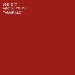 #9E1D17 - Tamarillo Color Image