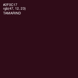 #2F0C17 - Tamarind Color Image
