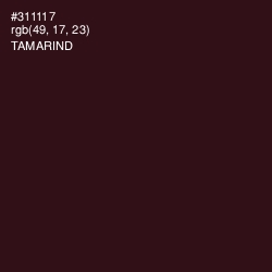 #311117 - Tamarind Color Image