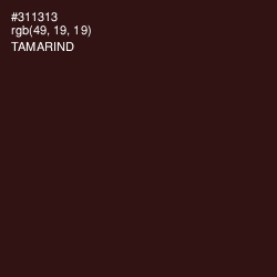 #311313 - Tamarind Color Image