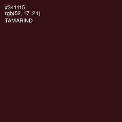 #341115 - Tamarind Color Image