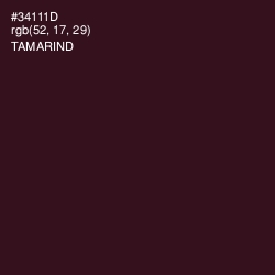 #34111D - Tamarind Color Image