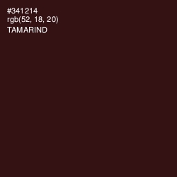 #341214 - Tamarind Color Image