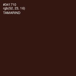 #341710 - Tamarind Color Image