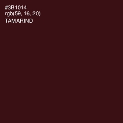 #3B1014 - Tamarind Color Image