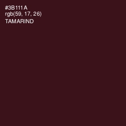 #3B111A - Tamarind Color Image