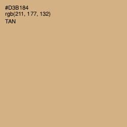 #D3B184 - Tan Color Image