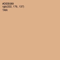 #DEB089 - Tan Color Image