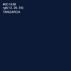 #0C1A38 - Tangaroa Color Image