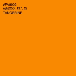 #FA8902 - Tangerine Color Image