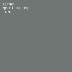 #6F7674 - Tapa Color Image