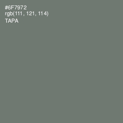 #6F7972 - Tapa Color Image