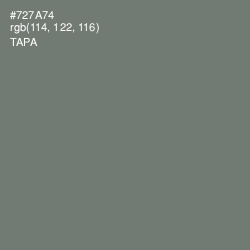 #727A74 - Tapa Color Image