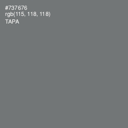 #737676 - Tapa Color Image