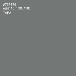 #737876 - Tapa Color Image