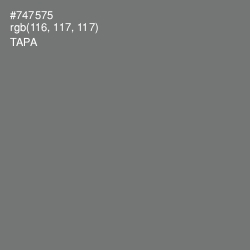 #747575 - Tapa Color Image