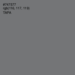 #747577 - Tapa Color Image