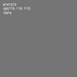 #747673 - Tapa Color Image