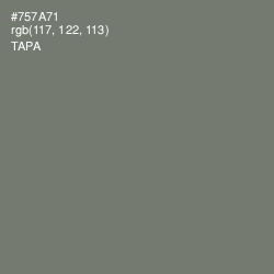 #757A71 - Tapa Color Image