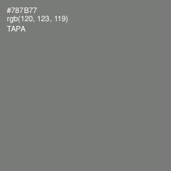 #787B77 - Tapa Color Image