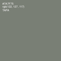 #7A7F75 - Tapa Color Image