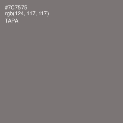 #7C7575 - Tapa Color Image