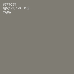 #7F7C74 - Tapa Color Image